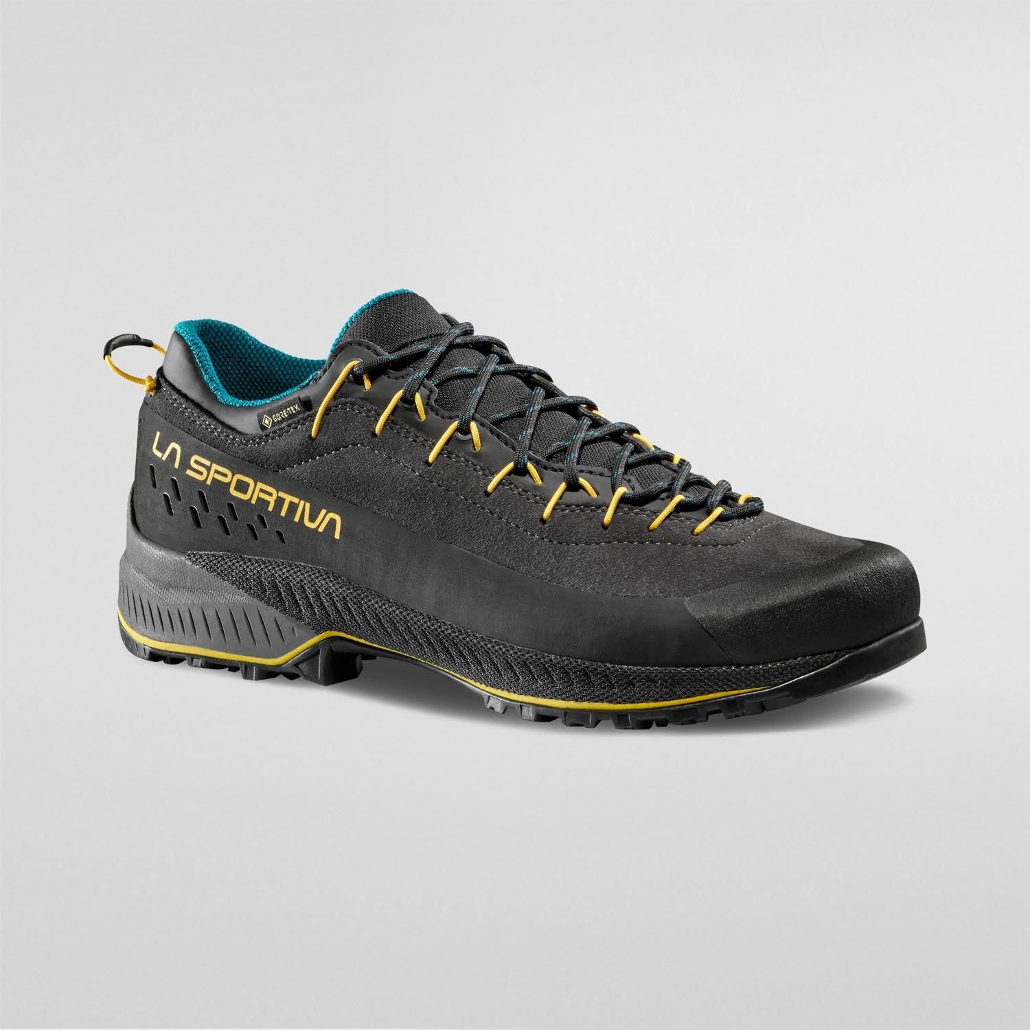 TX4 Evo GTX  Approach Shoes  Carbon/Bamboo
