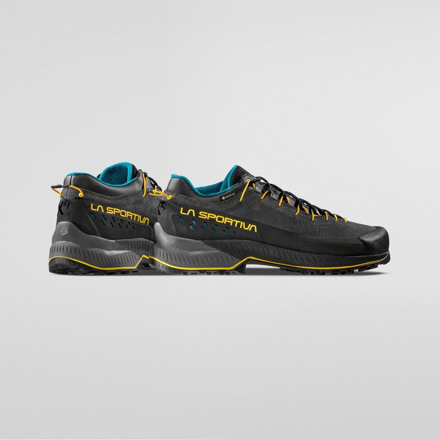 TX4 Evo GTX  Approach Shoes  Carbon/Bamboo