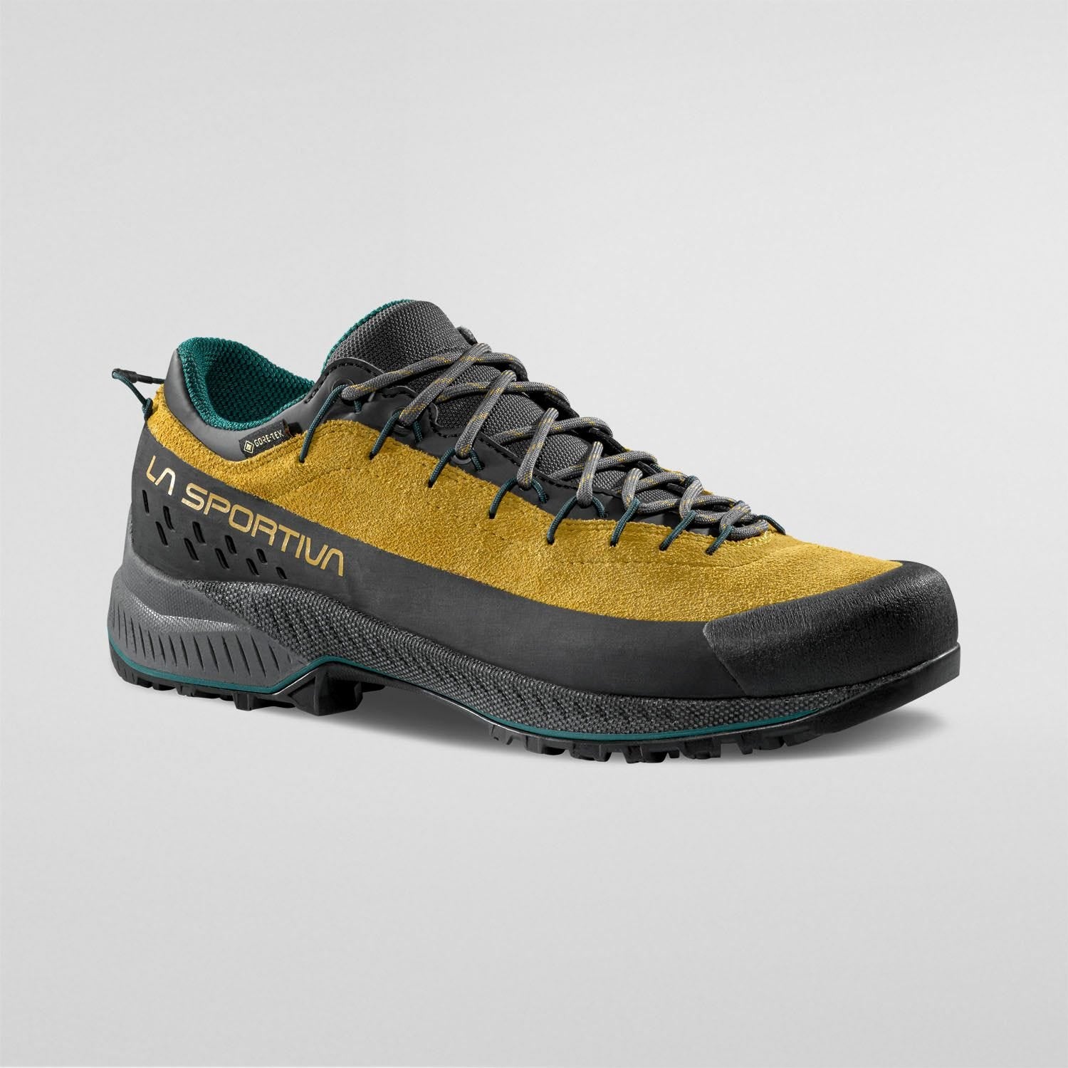 TX4 Evo GTX  Approach Shoes  Savana/Jungle