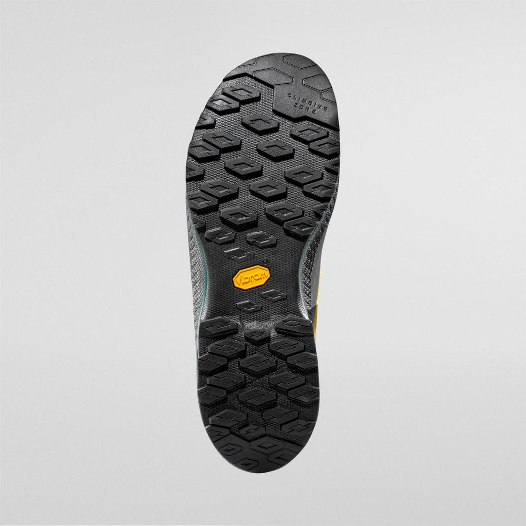 TX4 Evo GTX  Approach Shoes  Savana/Jungle