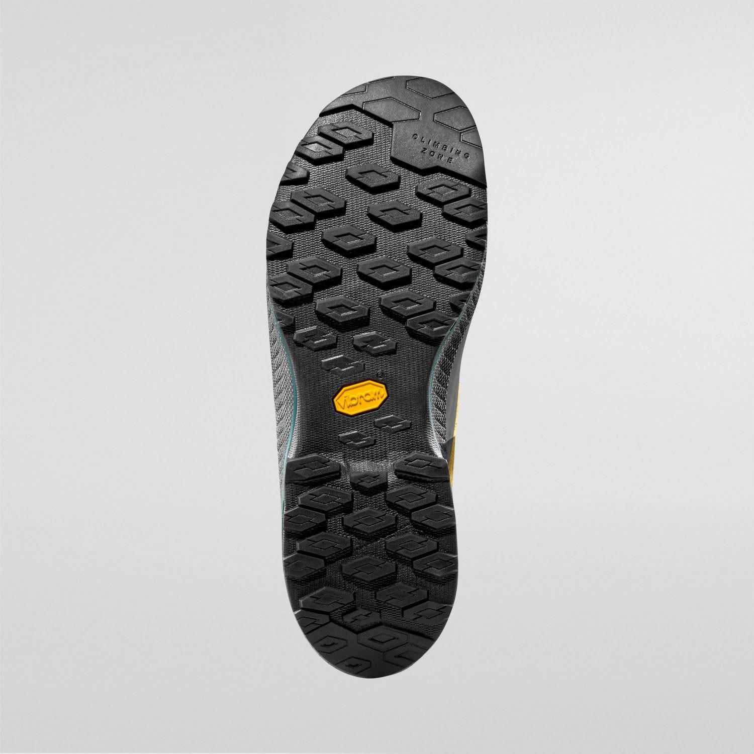 TX4 Evo GTX  Approach Shoes  Savana/Jungle