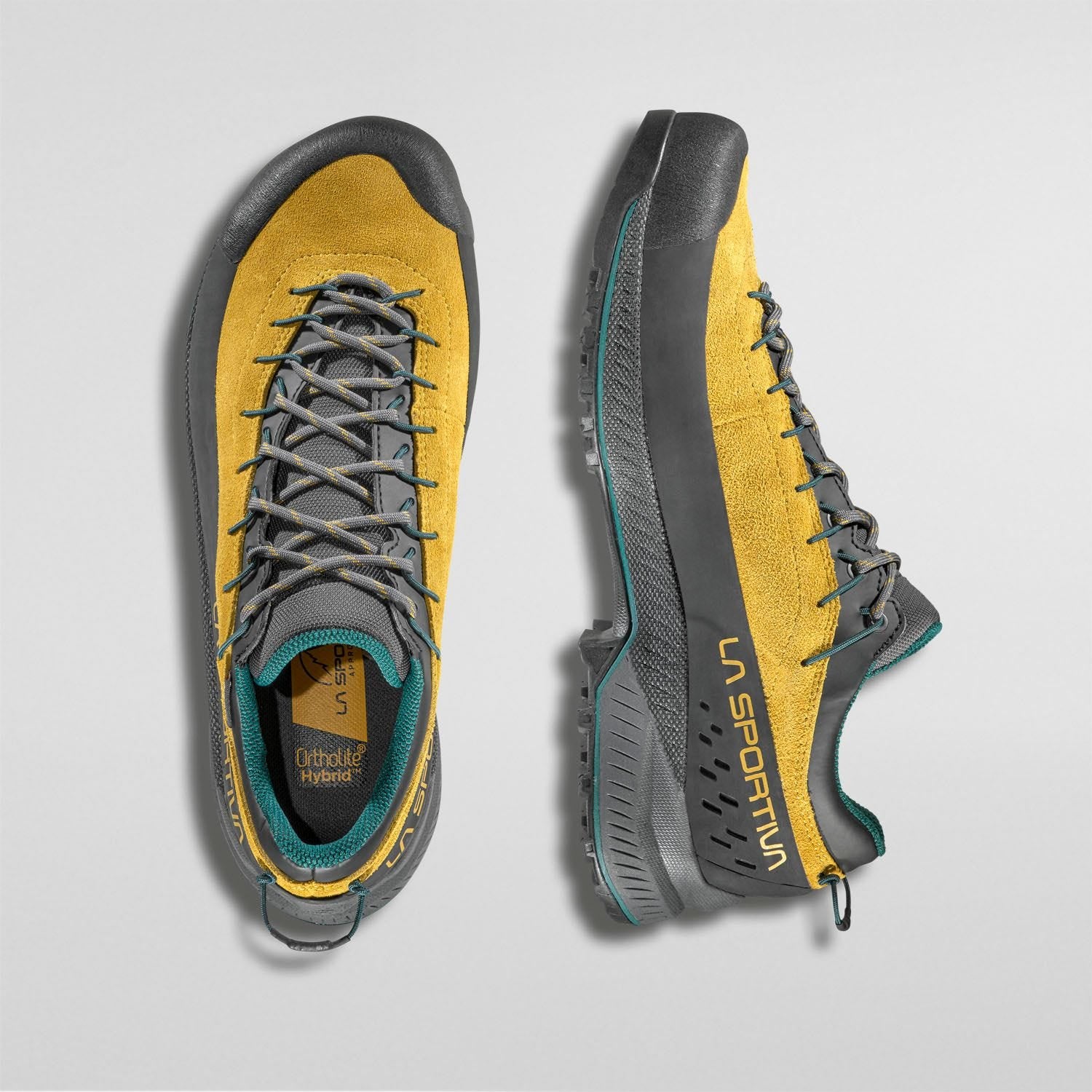 TX4 Evo GTX  Approach Shoes  Savana/Jungle
