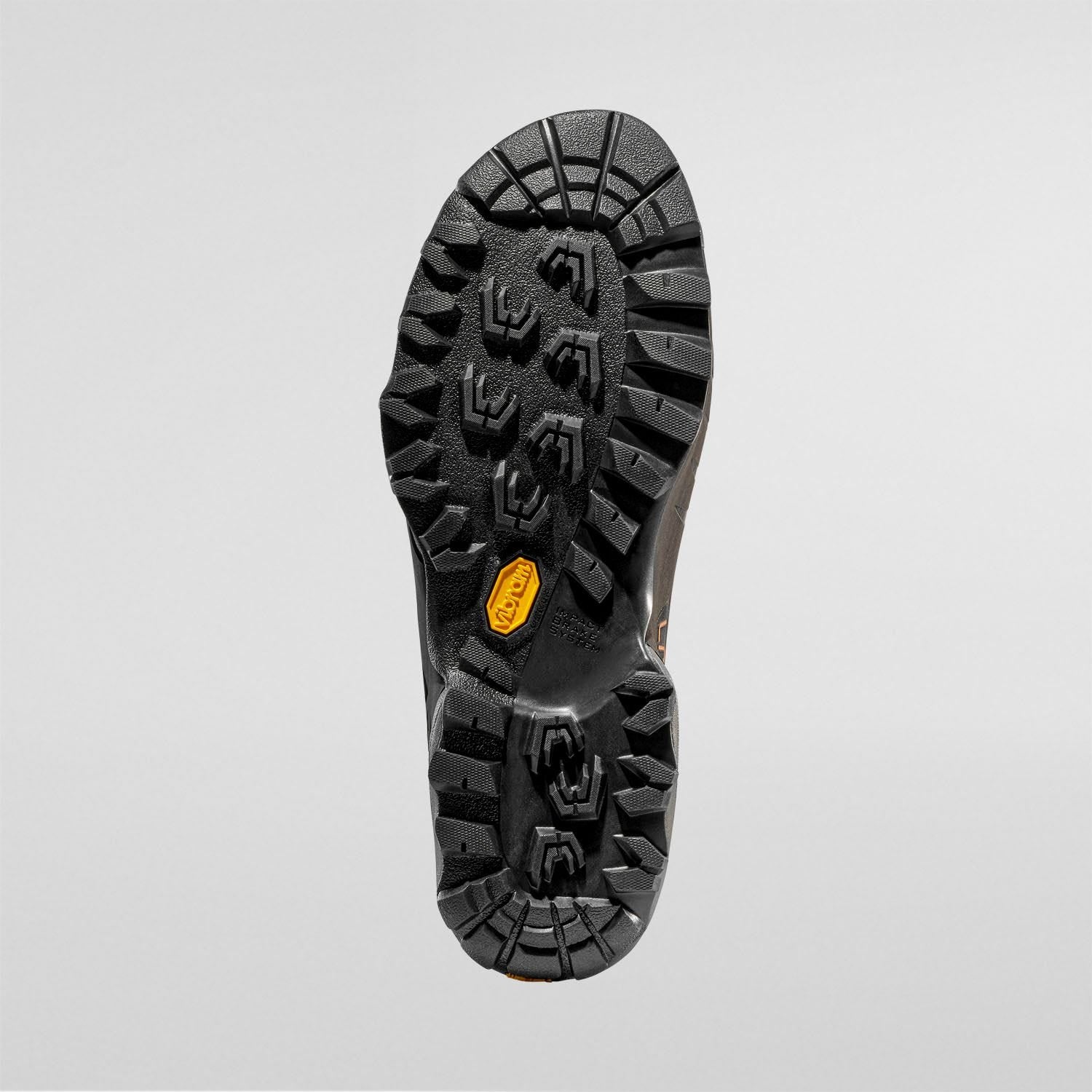 TX5 Low GTX  Mountain Hiking Shoes  Savana/Tiger