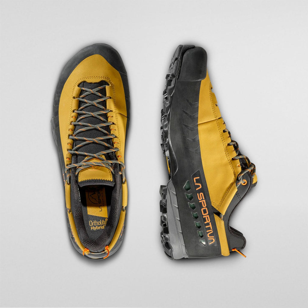TX5 Low GTX  Mountain Hiking Shoes  Savana/Tiger