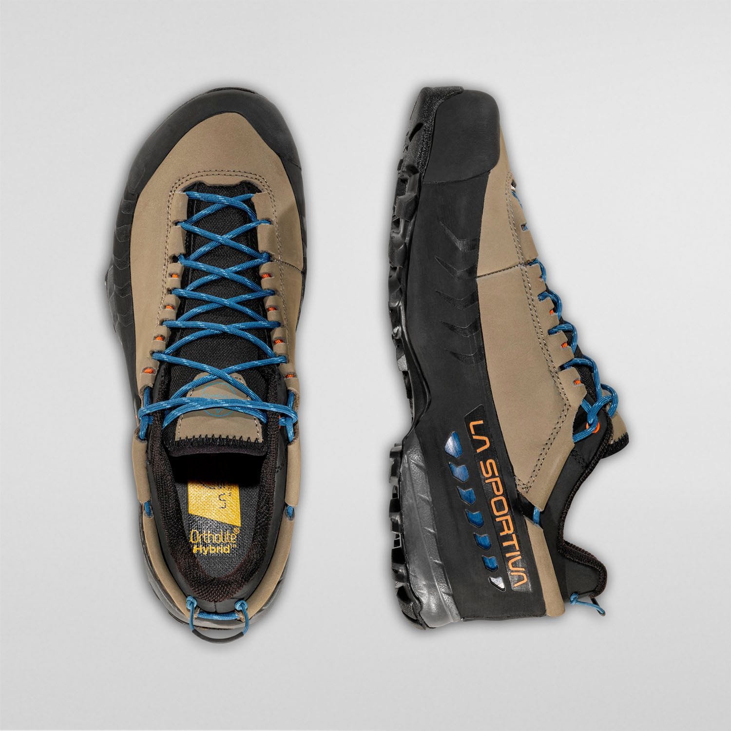 TX5 Low GTX  Mountain Hiking Shoes  Clay/Maple
